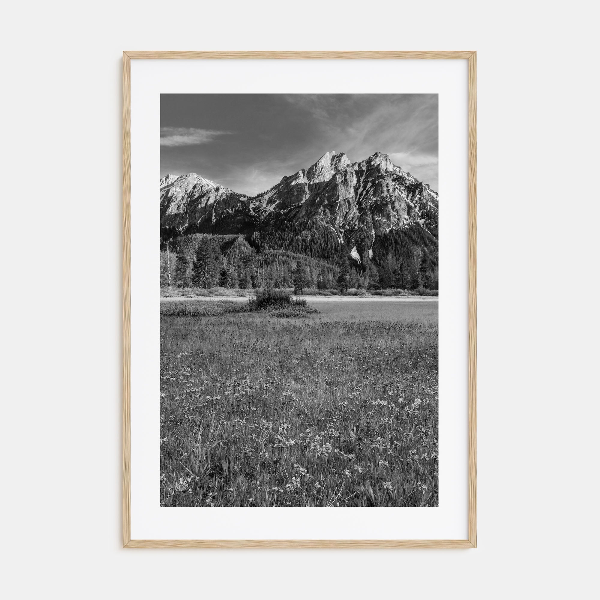 Idaho Photo B&W Poster