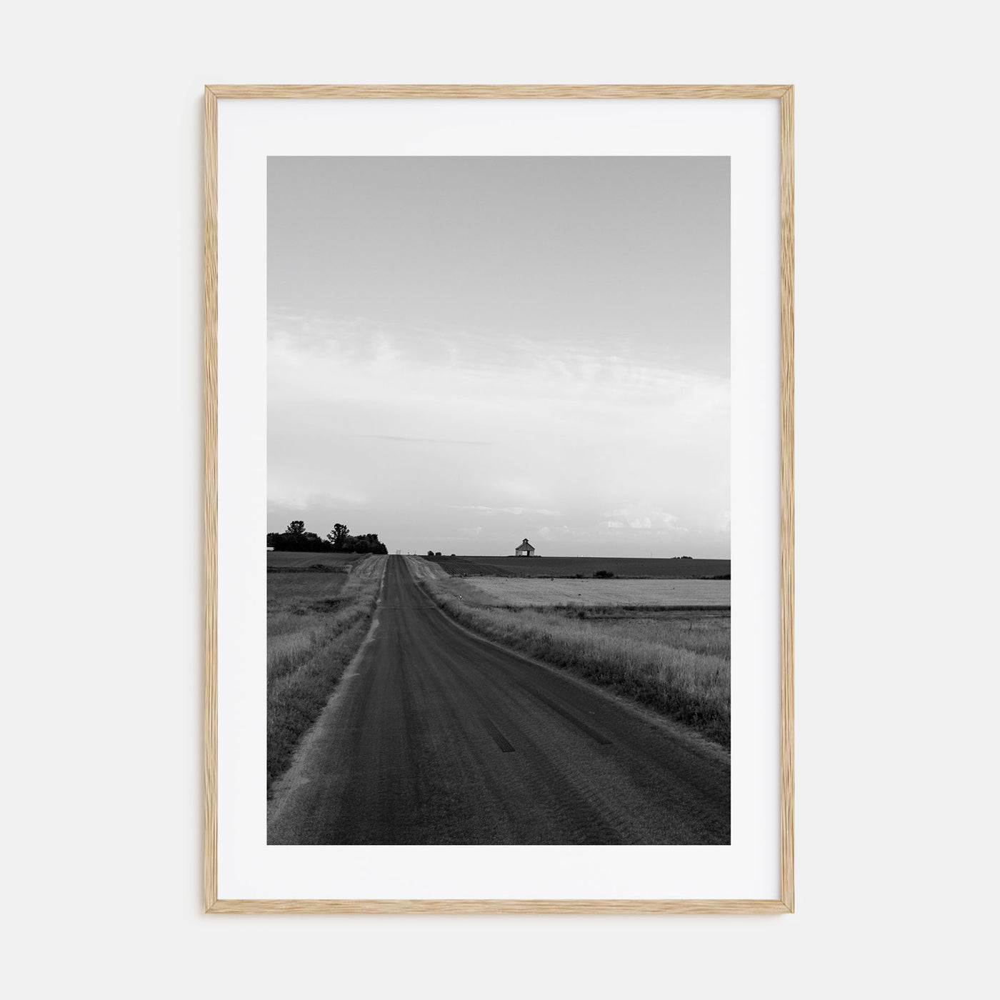 Illinois Photo B&W Poster