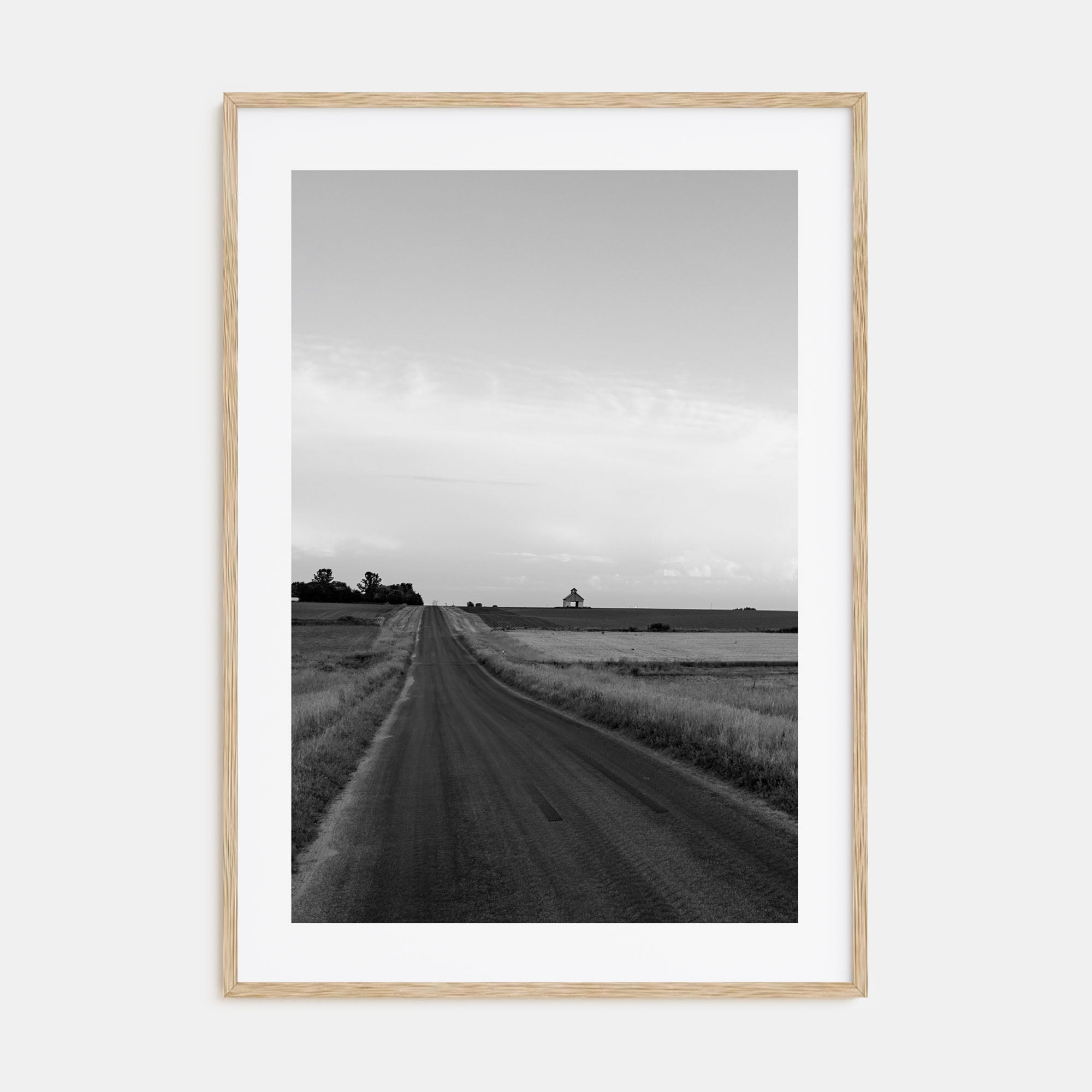 Illinois Photo B&W Poster