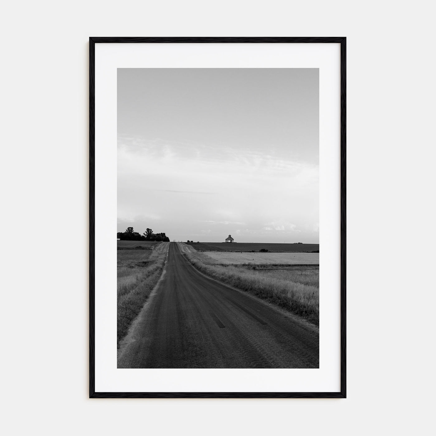 Illinois Photo B&W Poster