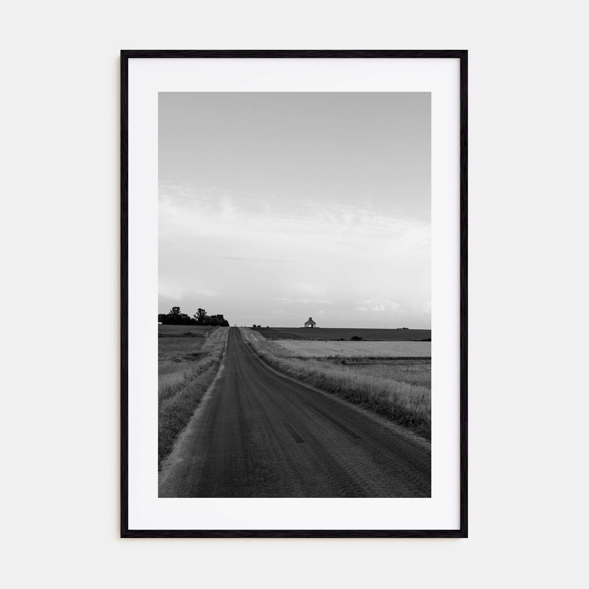 Illinois Photo B&W Poster