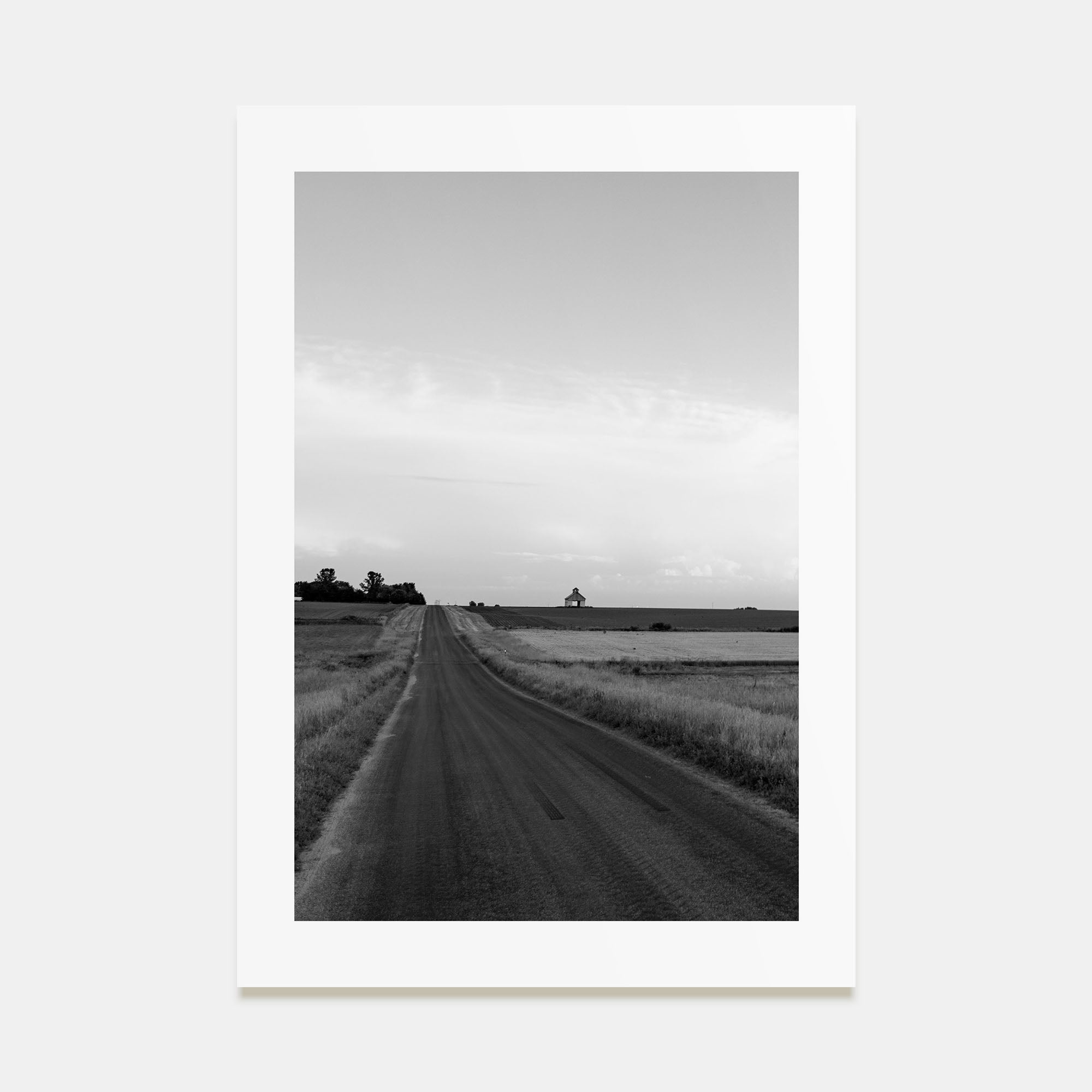 Illinois Photo B&W Poster