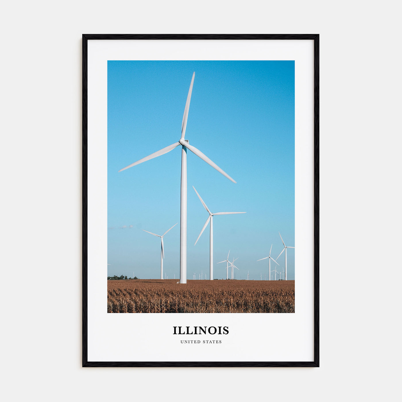 Illinois Portrait Color No 1 Poster