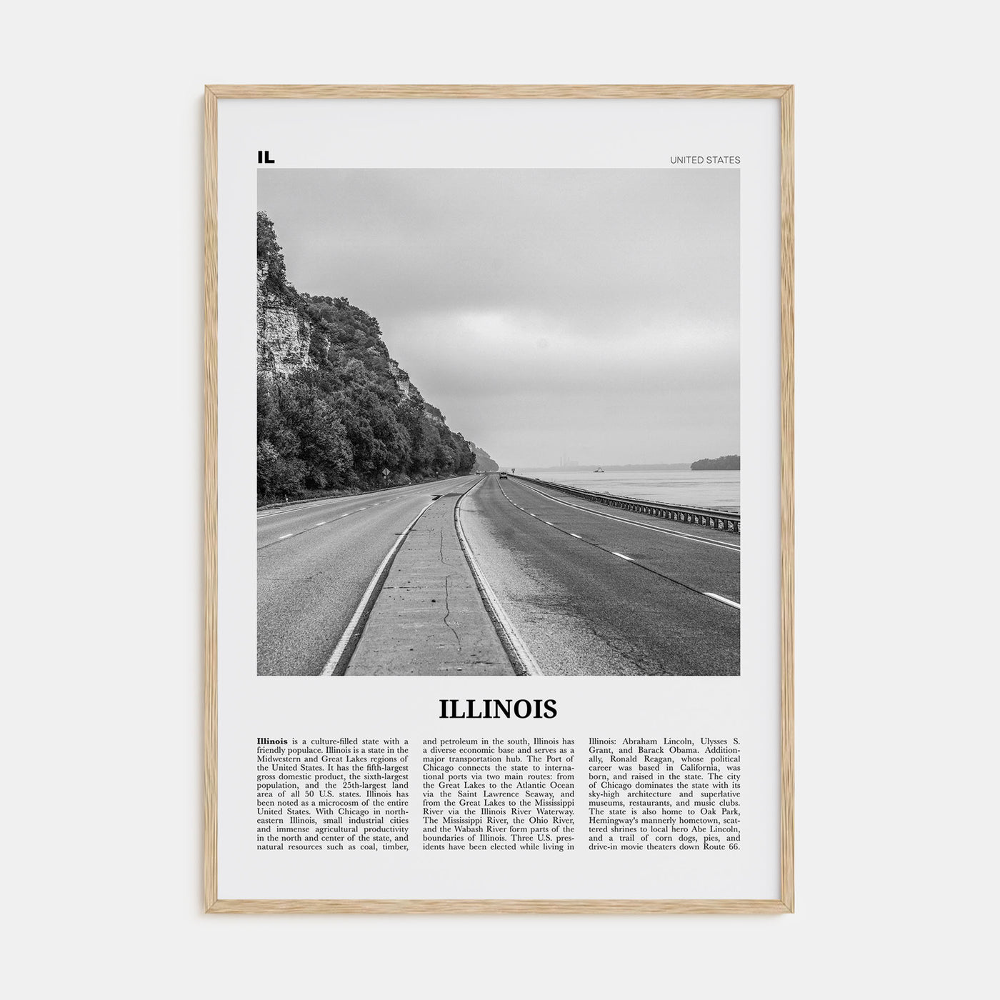 Illinois Travel B&W No 1 Poster
