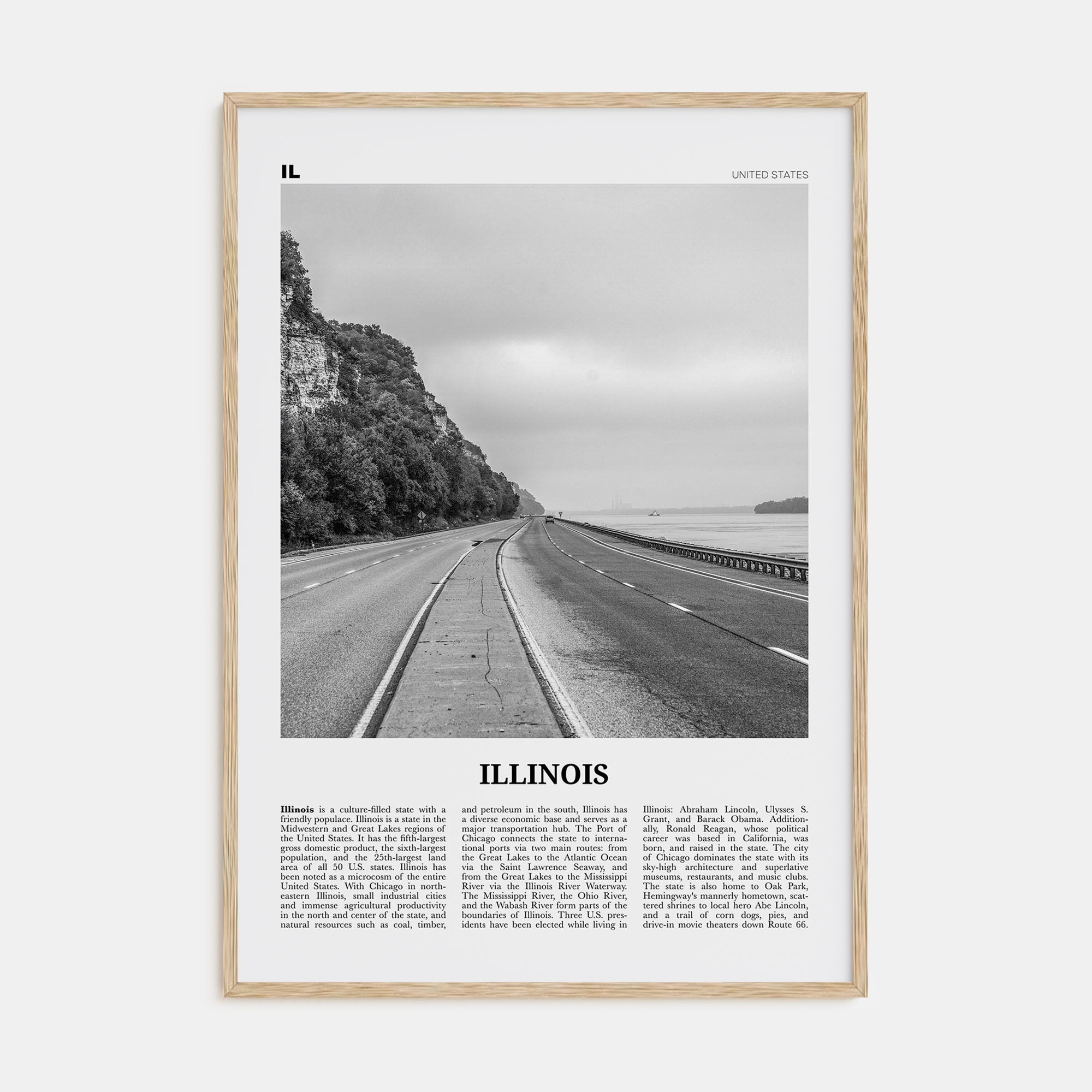 Illinois Travel B&W No 1 Poster