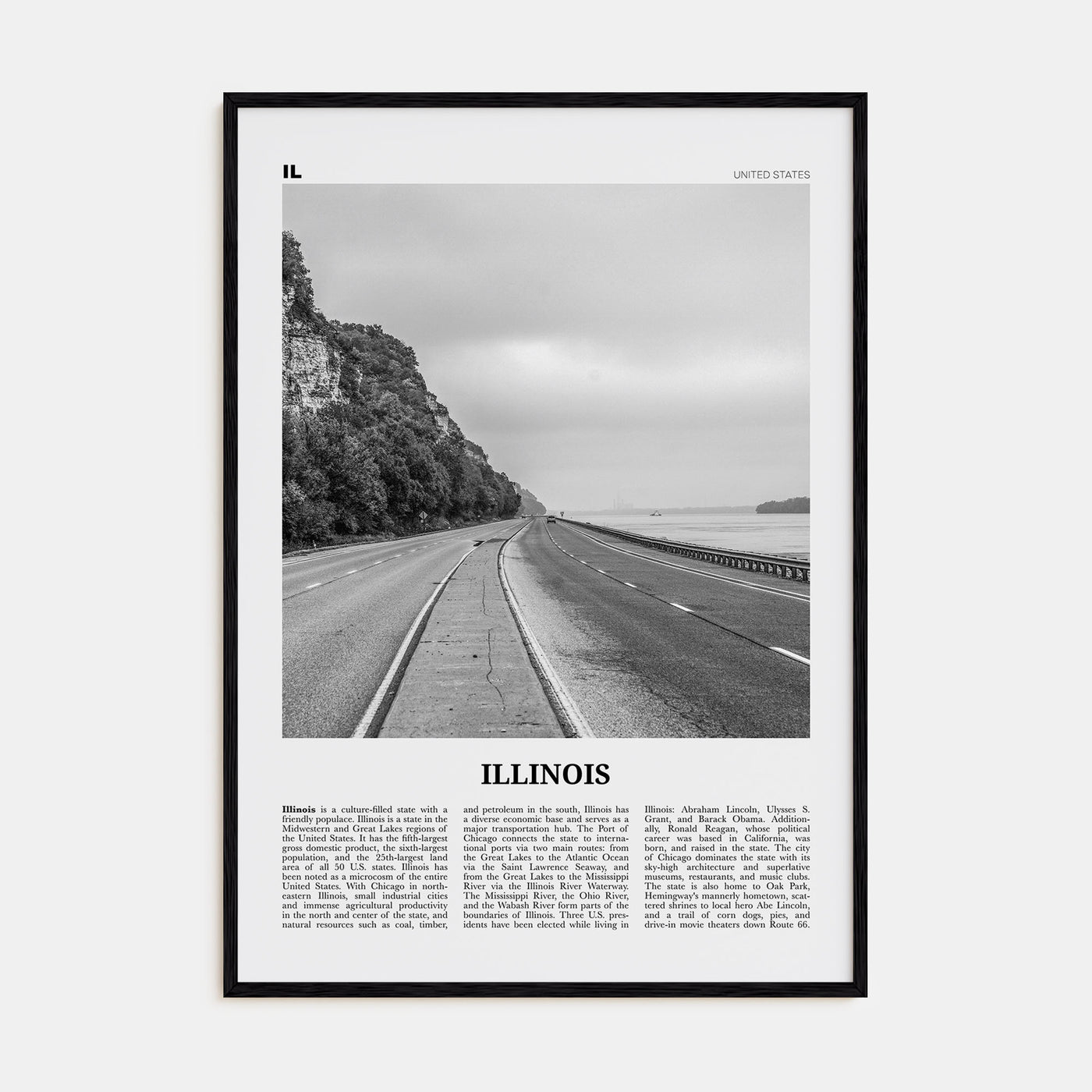 Illinois Travel B&W No 1 Poster