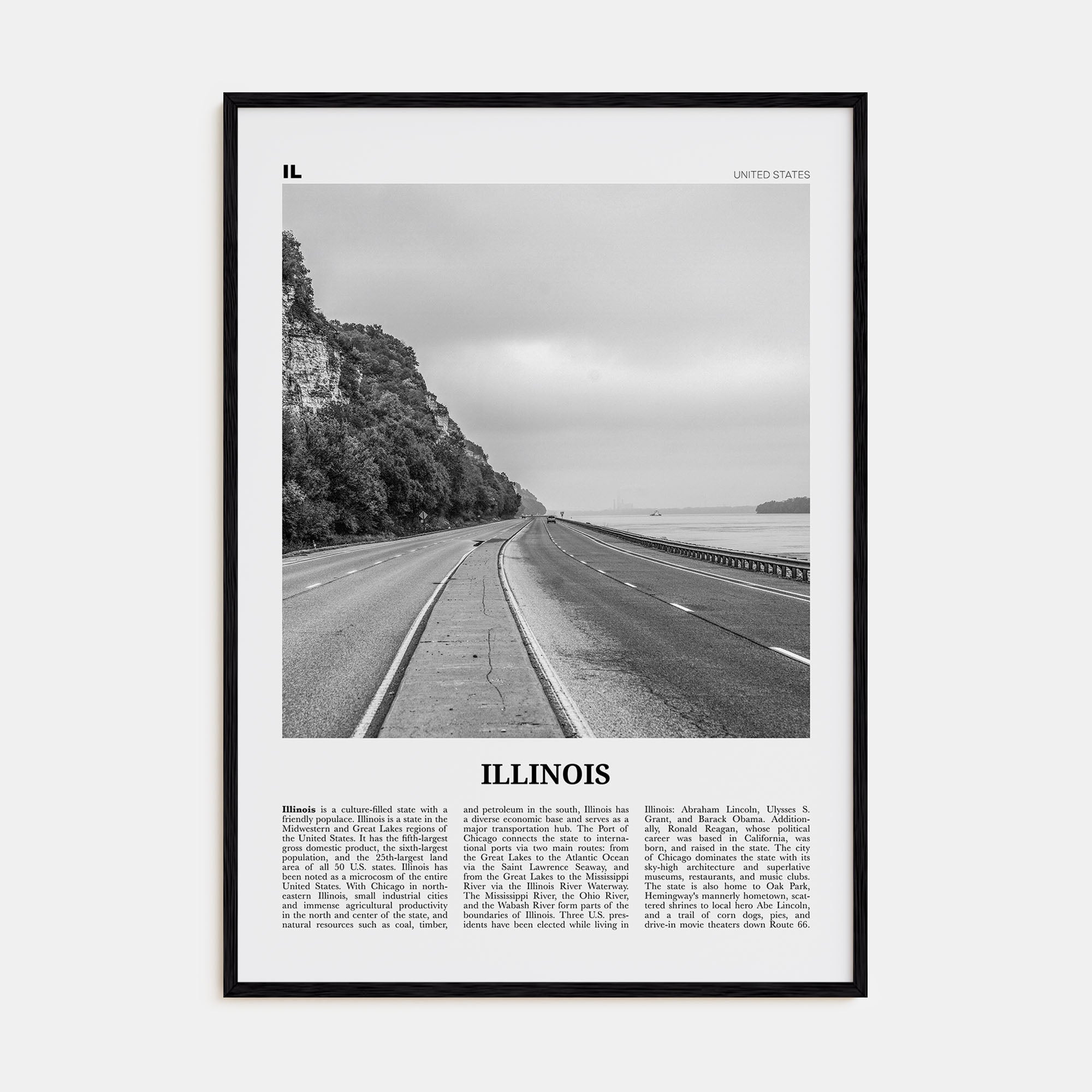 Illinois Travel B&W No 1 Poster