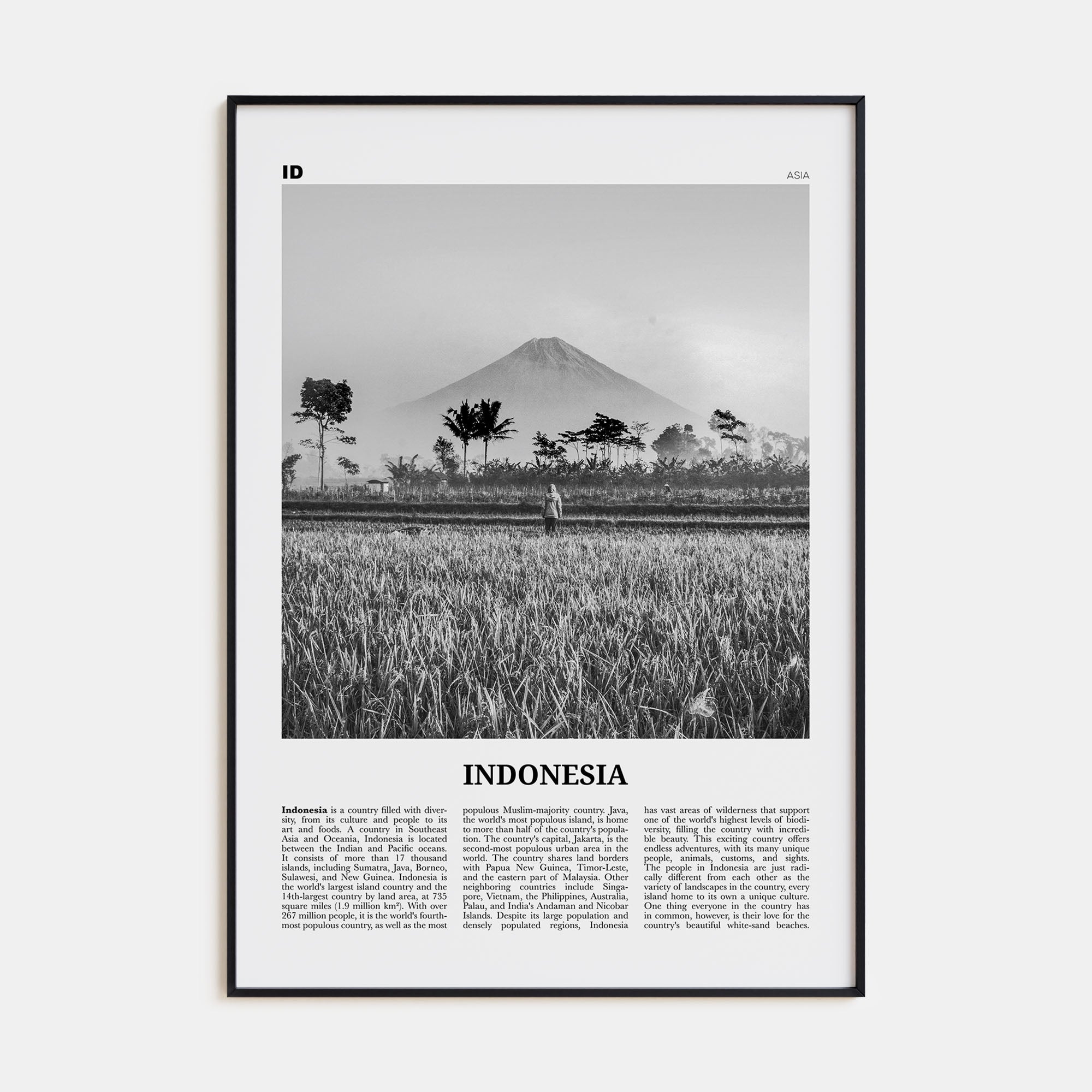 Indonesia Travel B&W No 1 Poster