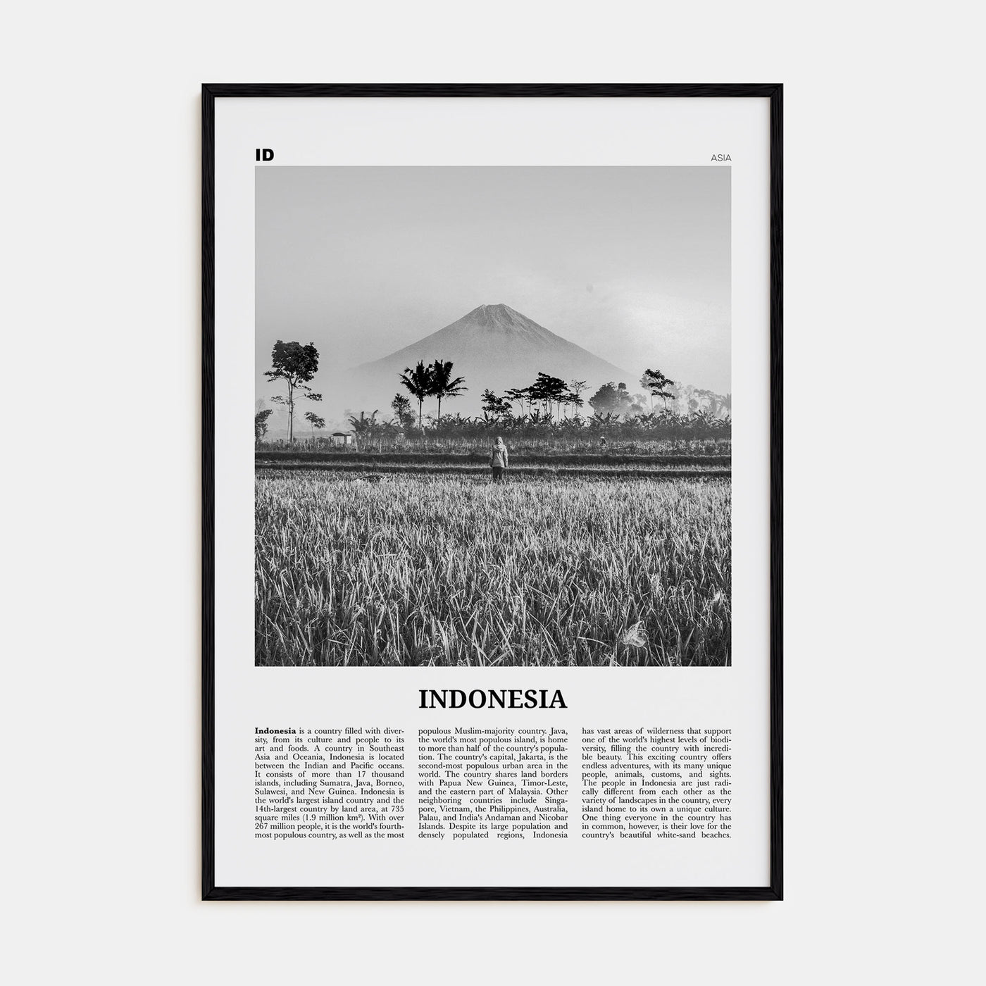 Indonesia Travel B&W No 1 Poster