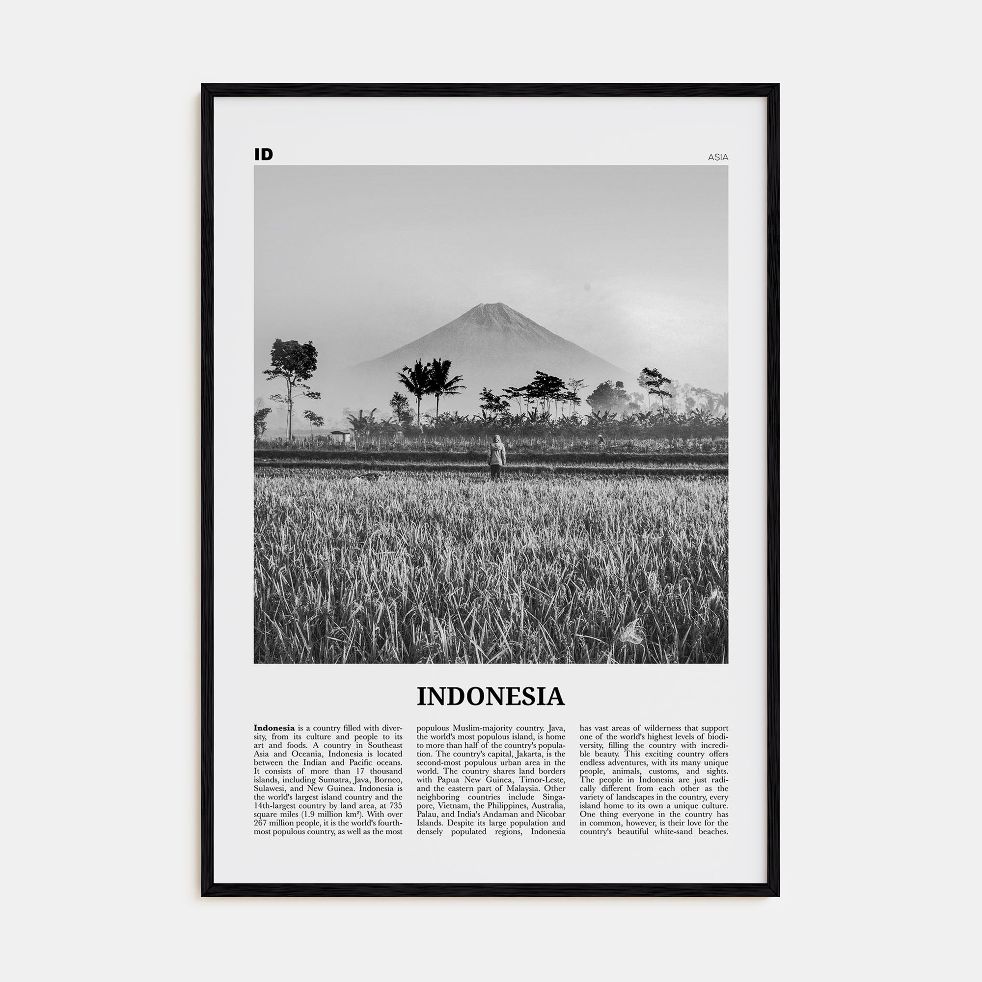 Indonesia Travel B&W No 1 Poster