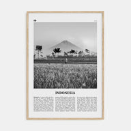 Indonesia Travel B&W No 1 Poster