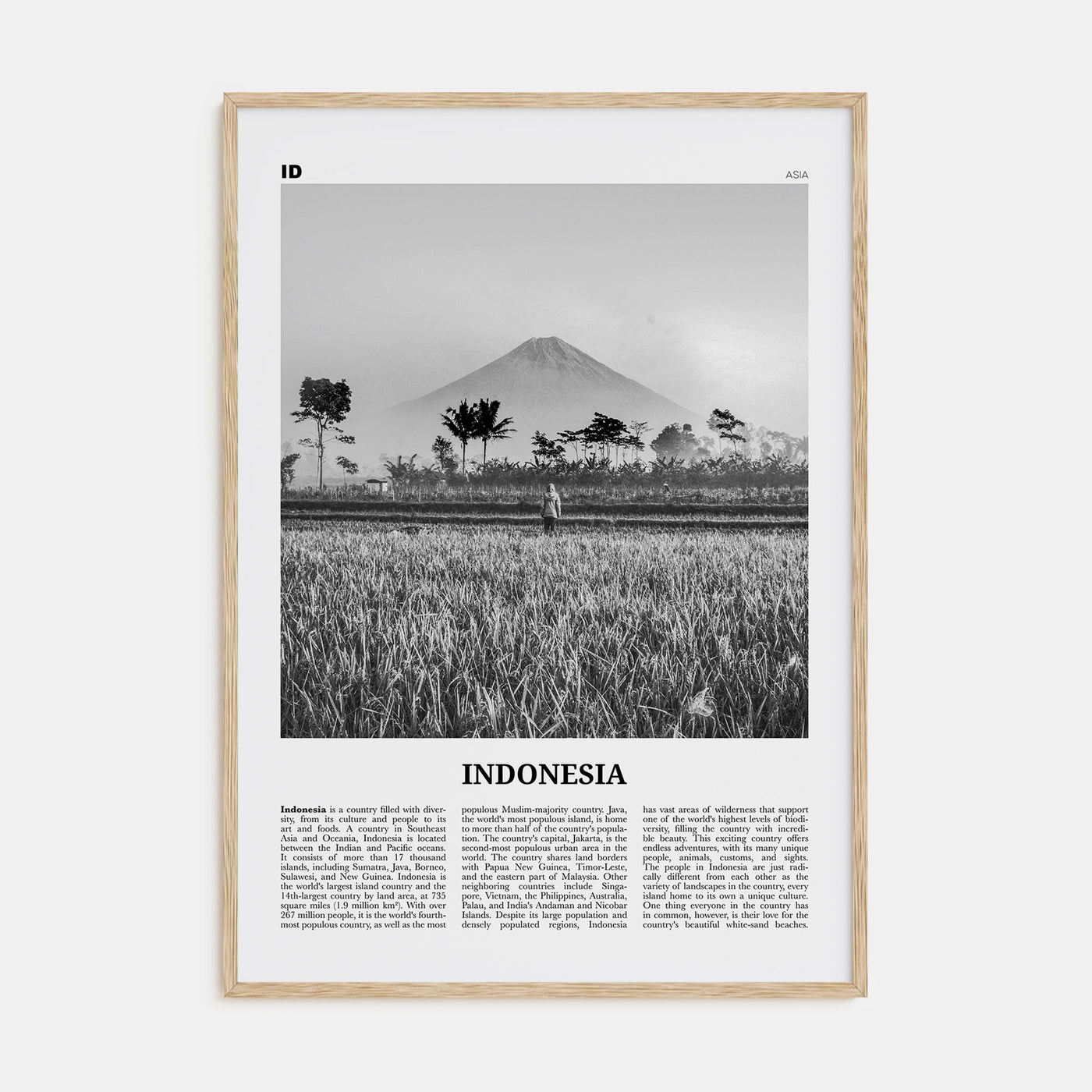 Indonesia Travel B&W No 1 Poster