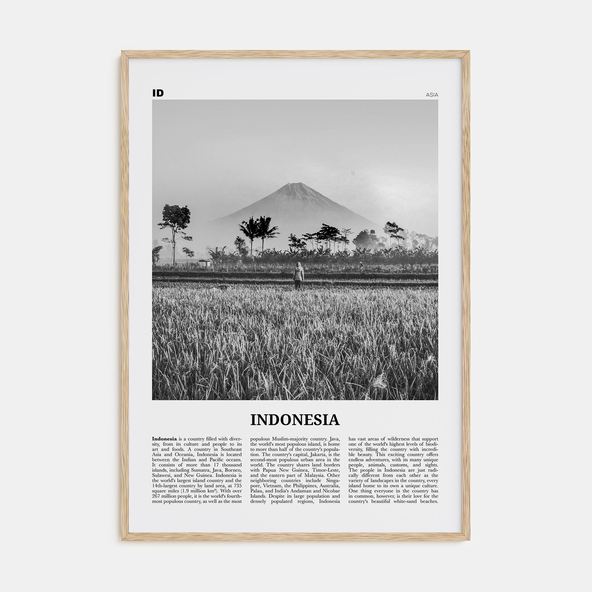 Indonesia Travel B&W No 1 Poster