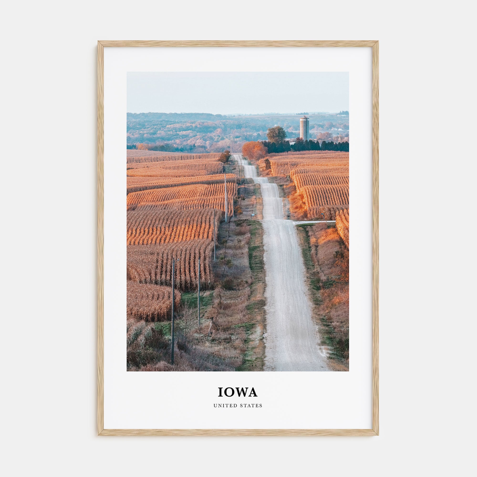Iowa Portrait Color Poster