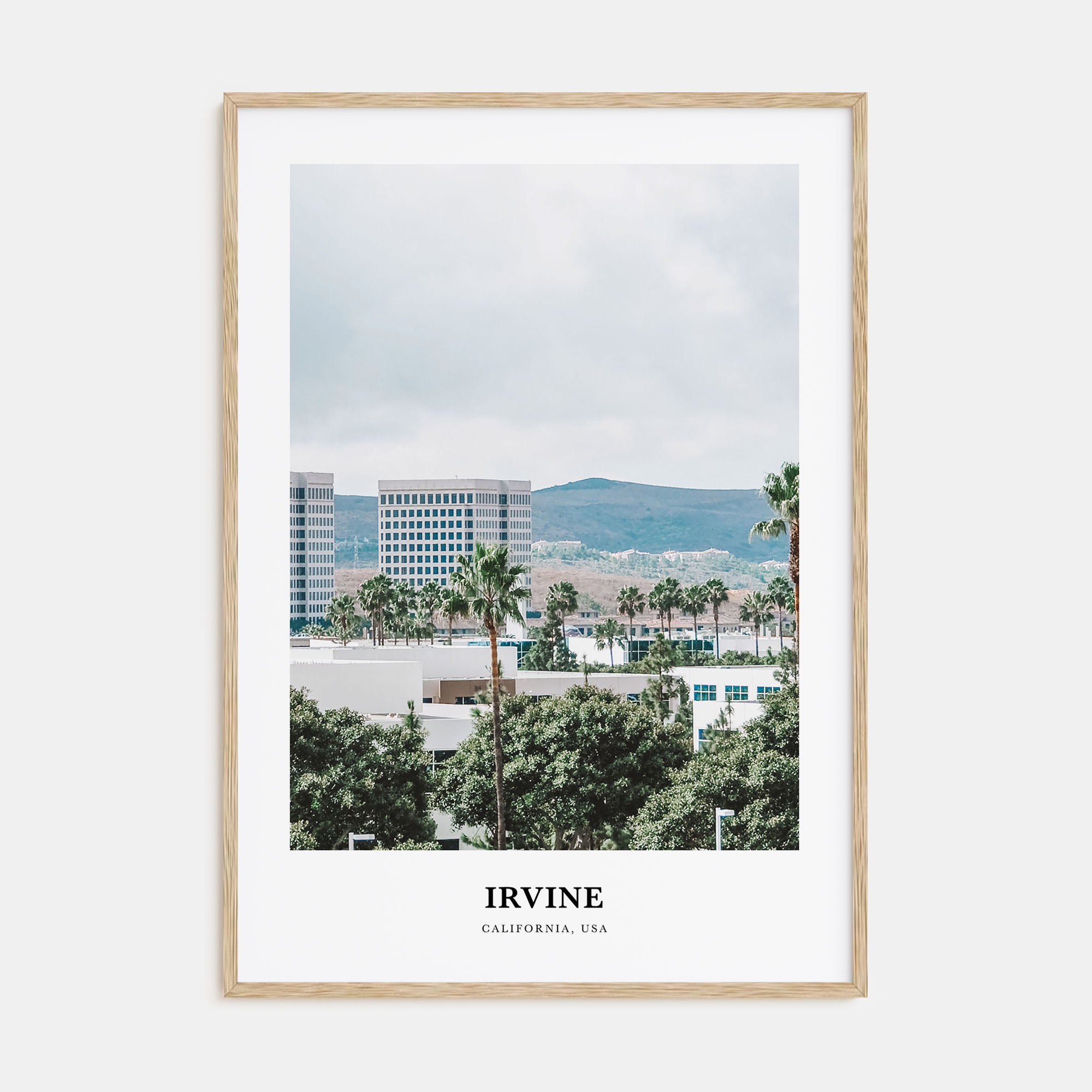 Irvine Portrait Color Poster
