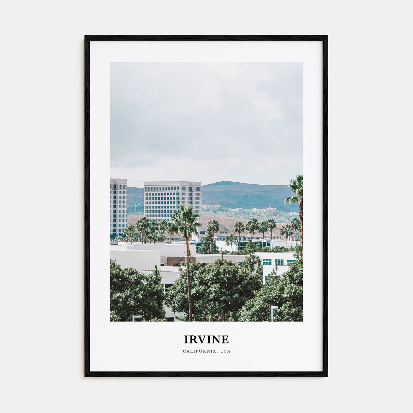 Irvine Portrait Color Poster