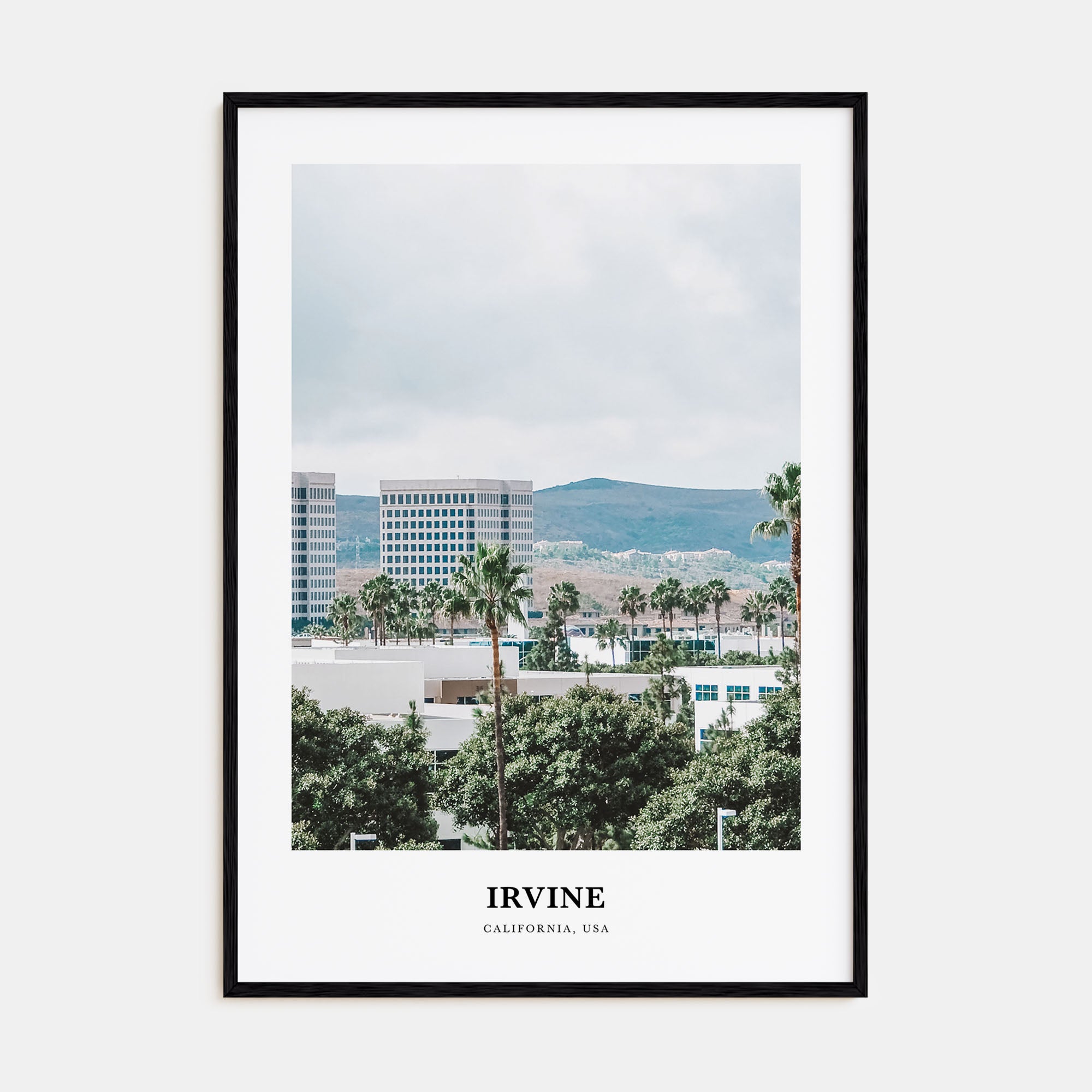 Irvine Portrait Color Poster