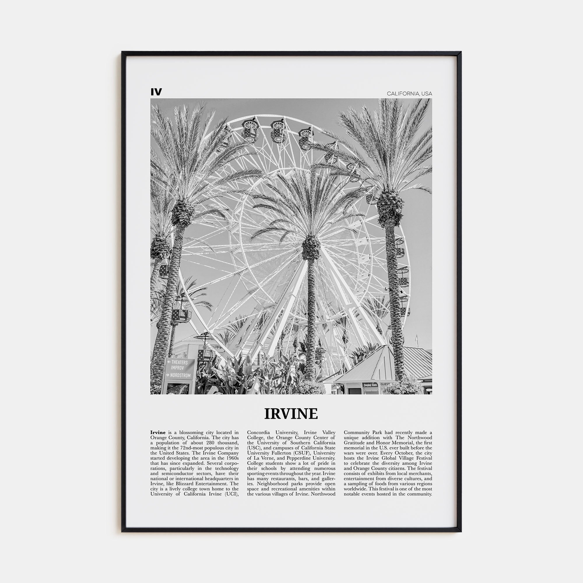 Irvine Travel B&W No 1 Poster