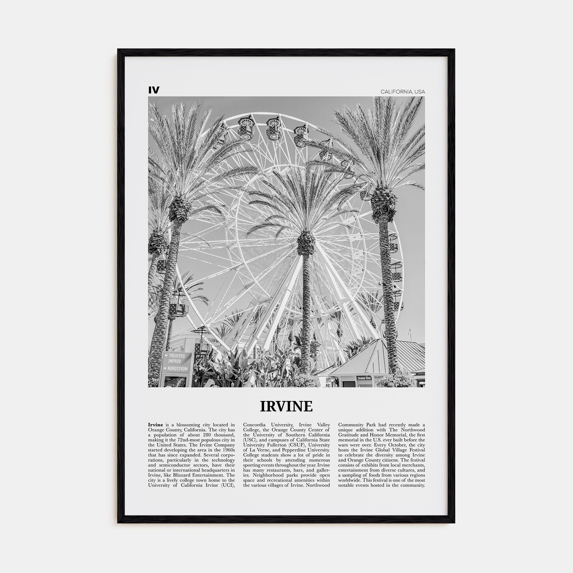 Irvine Travel B&W No 1 Poster