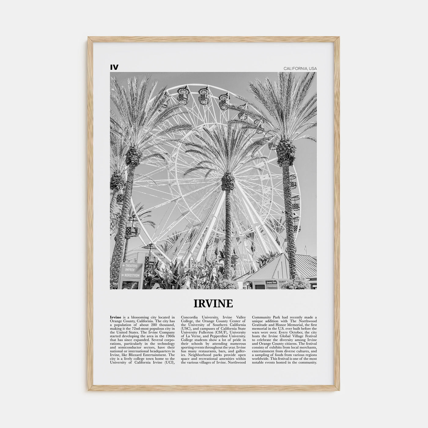 Irvine Travel B&W No 1 Poster