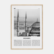 Istanbul Travel B&W No 1 Poster