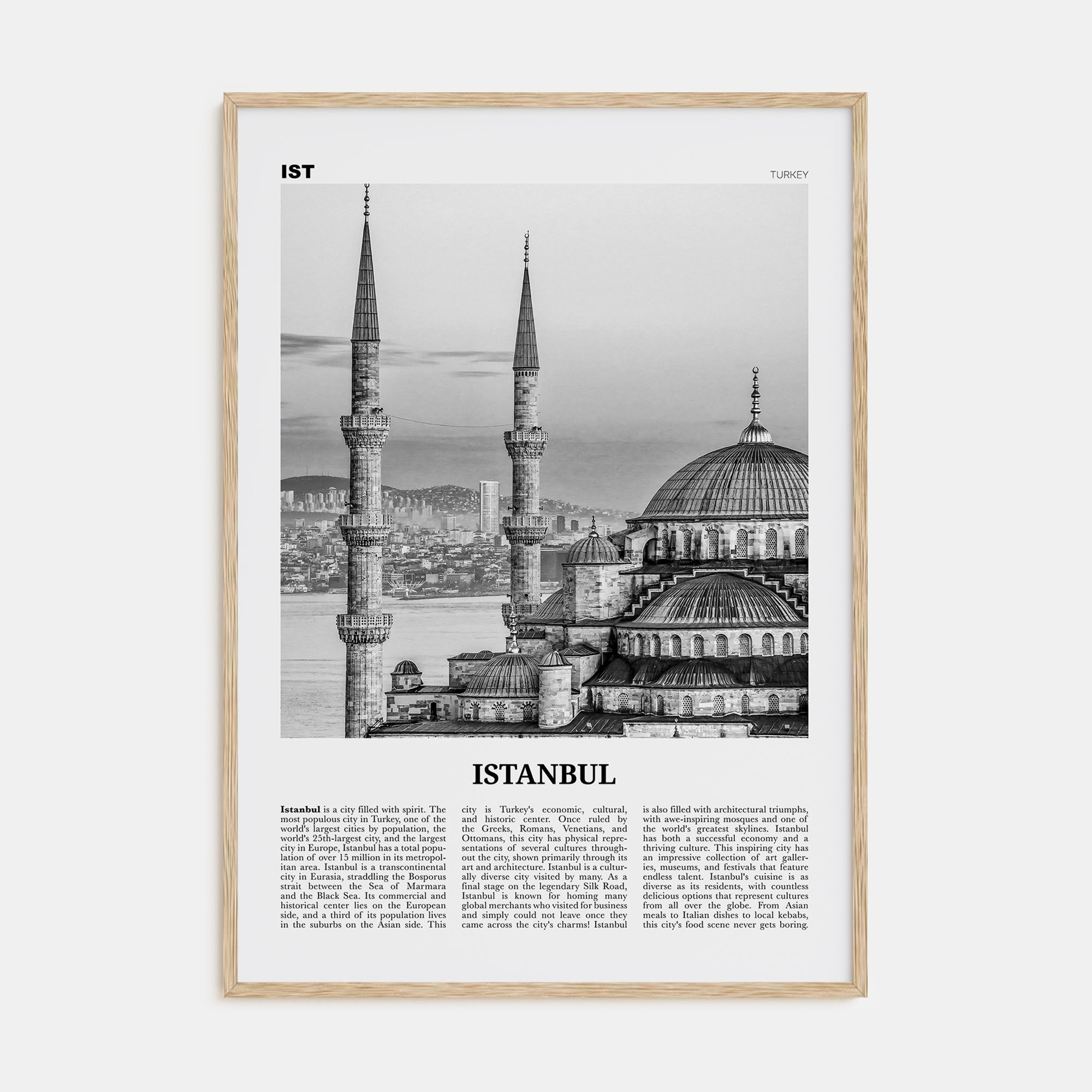 Istanbul Travel B&W No 1 Poster