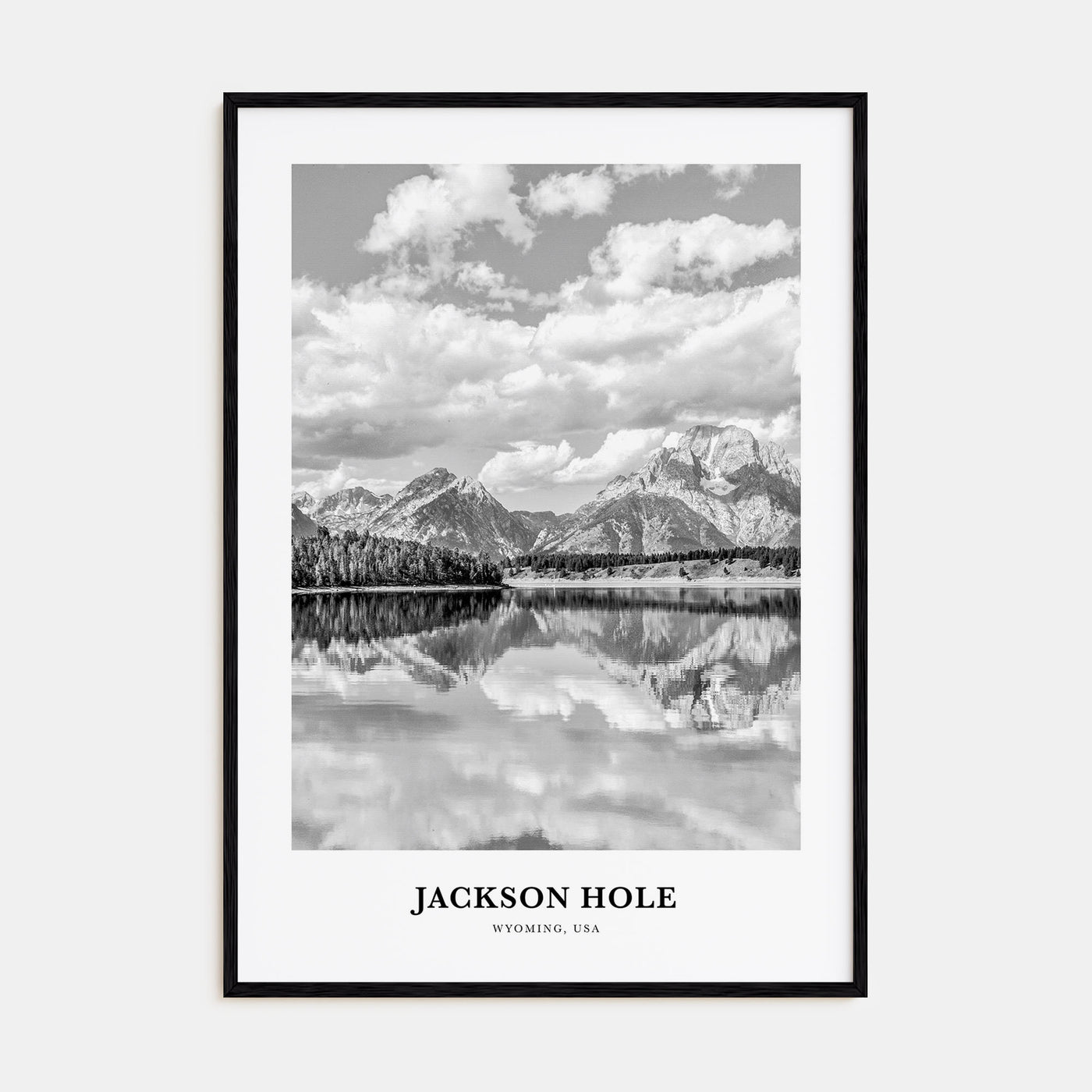 Jackson Hole Portrait B&W Poster