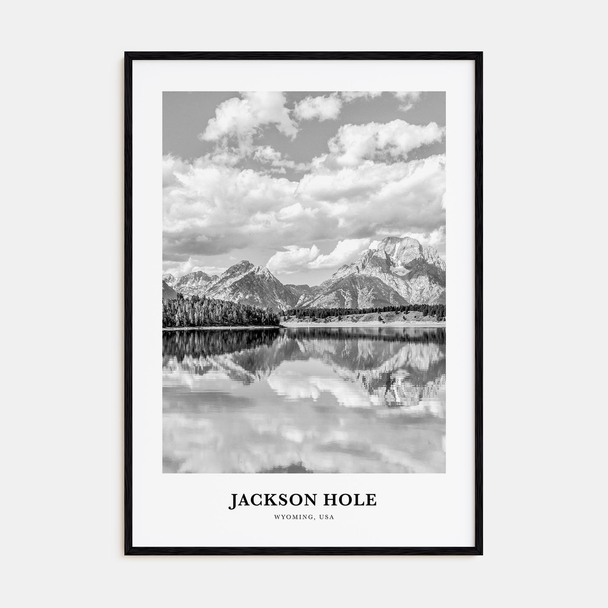 Jackson Hole Portrait B&W Poster