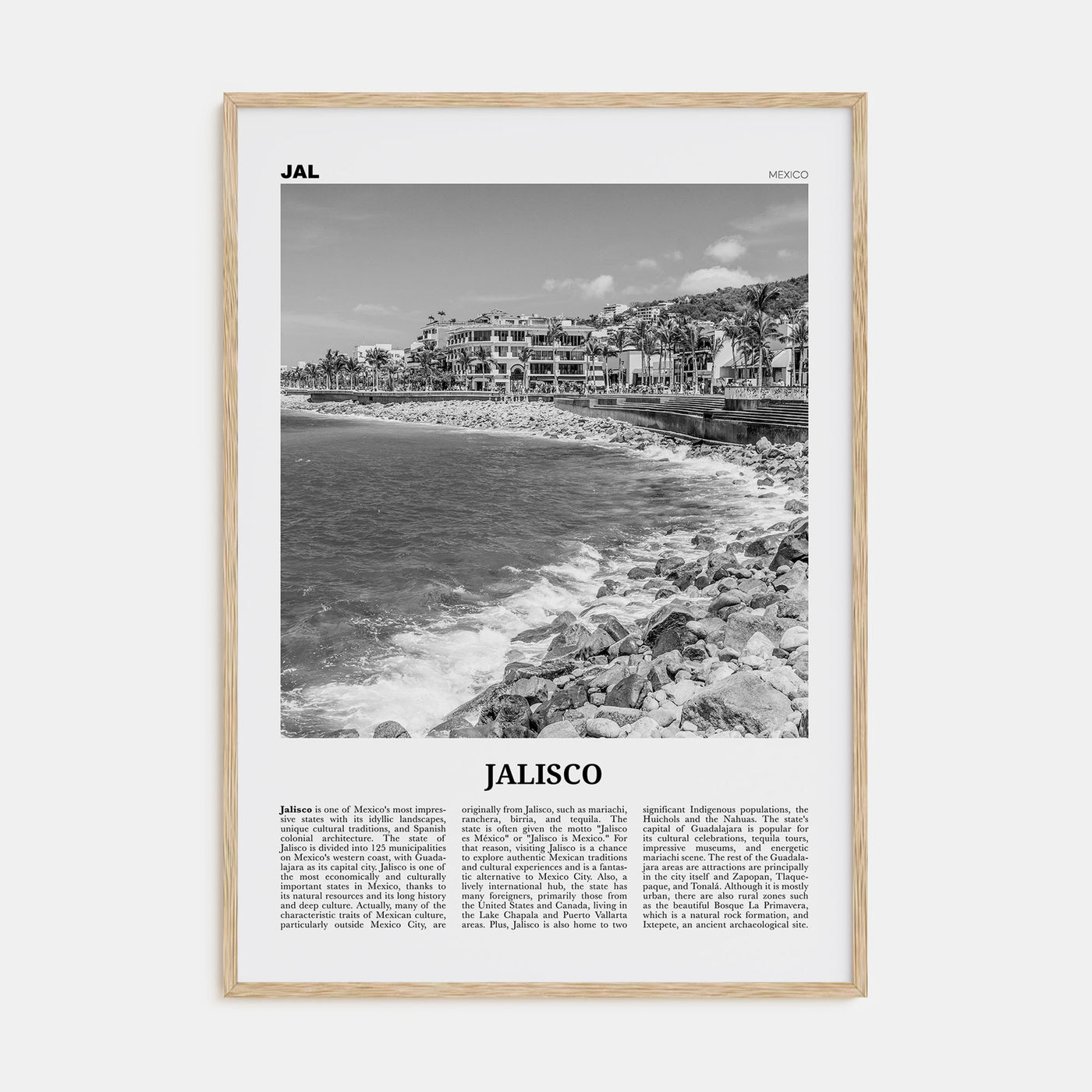 Jalisco Travel B&W No 1 Poster