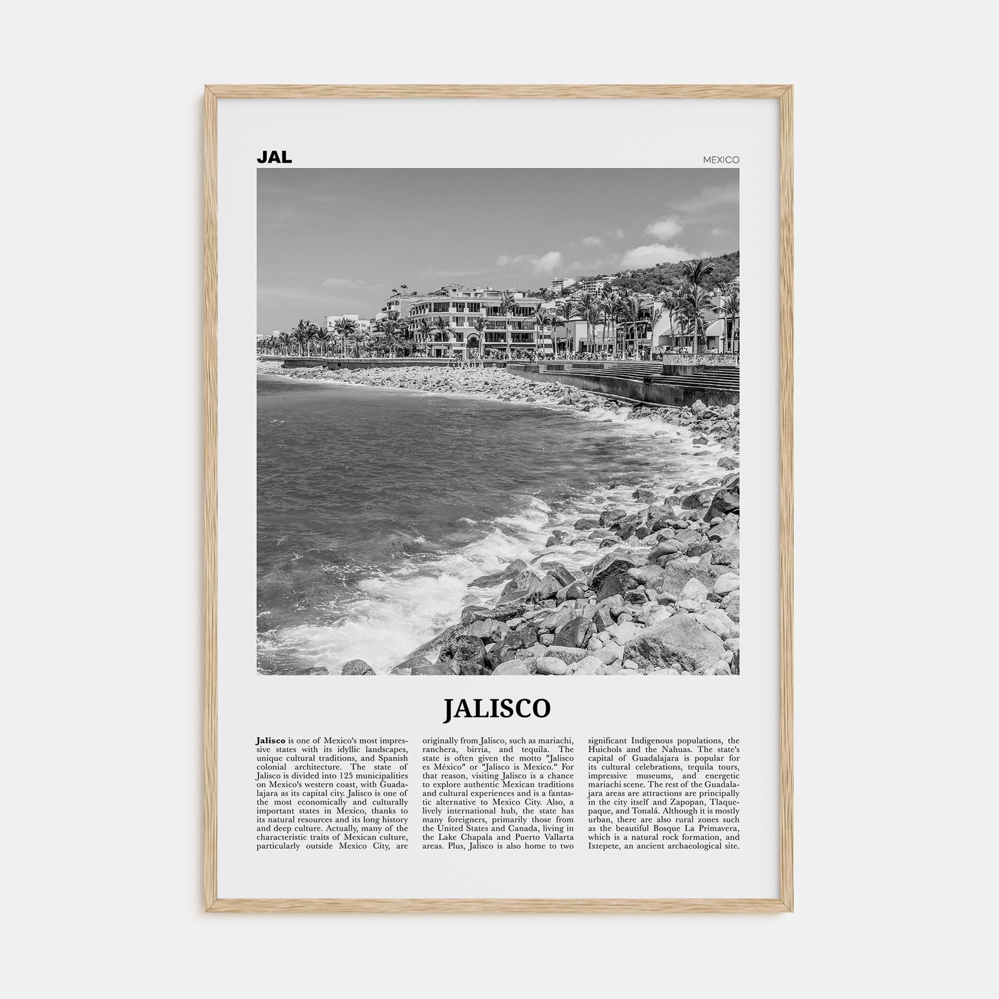 Jalisco Travel B&W No 1 Poster