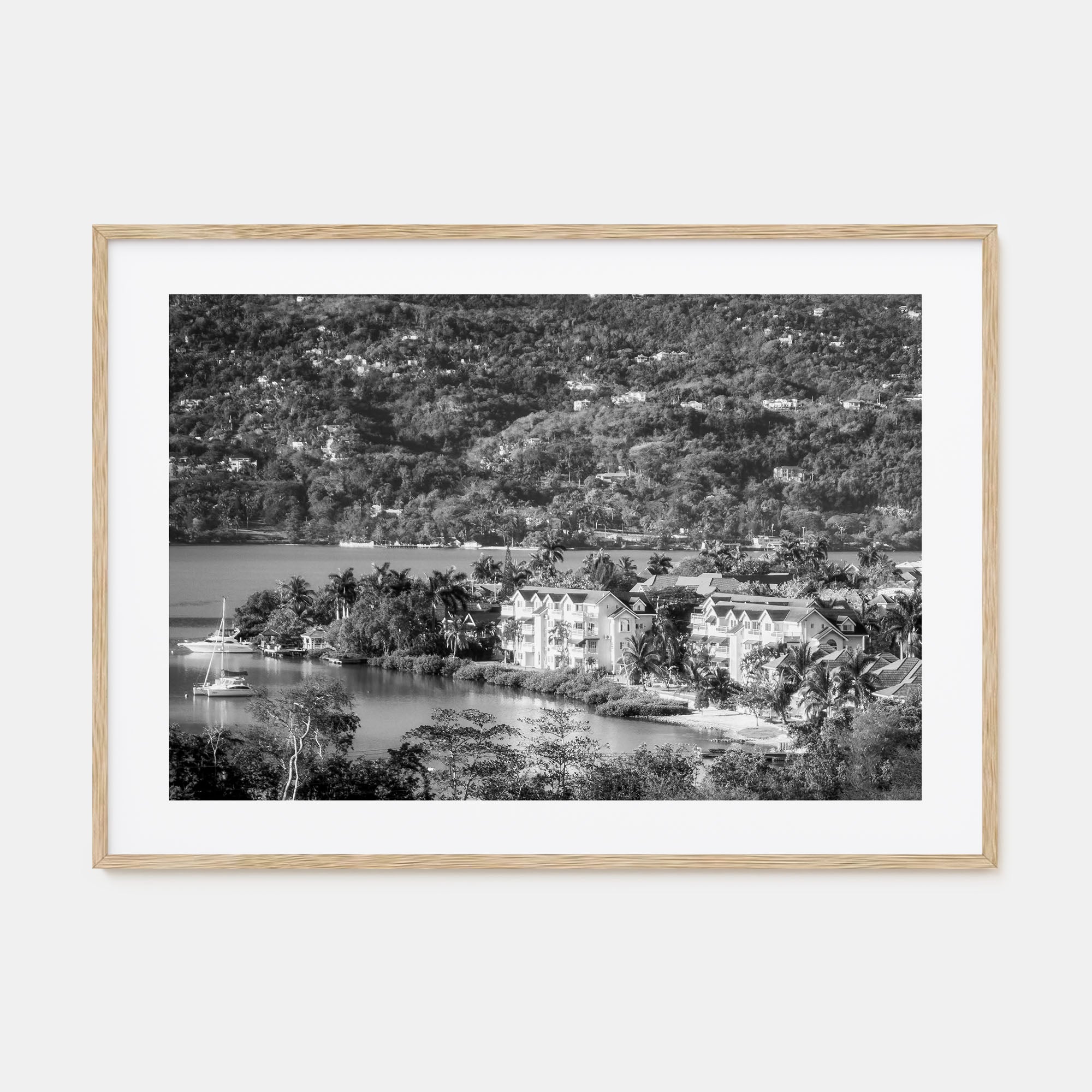 Jamaica Landscape B&W Poster