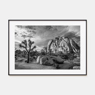 Joshua Tree National Park Landscape B&W No 1 Poster