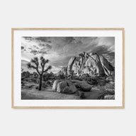 Joshua Tree National Park Landscape B&W No 1 Poster