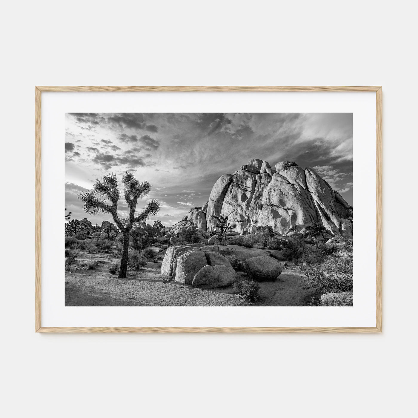 Joshua Tree National Park Landscape B&W No 1 Poster