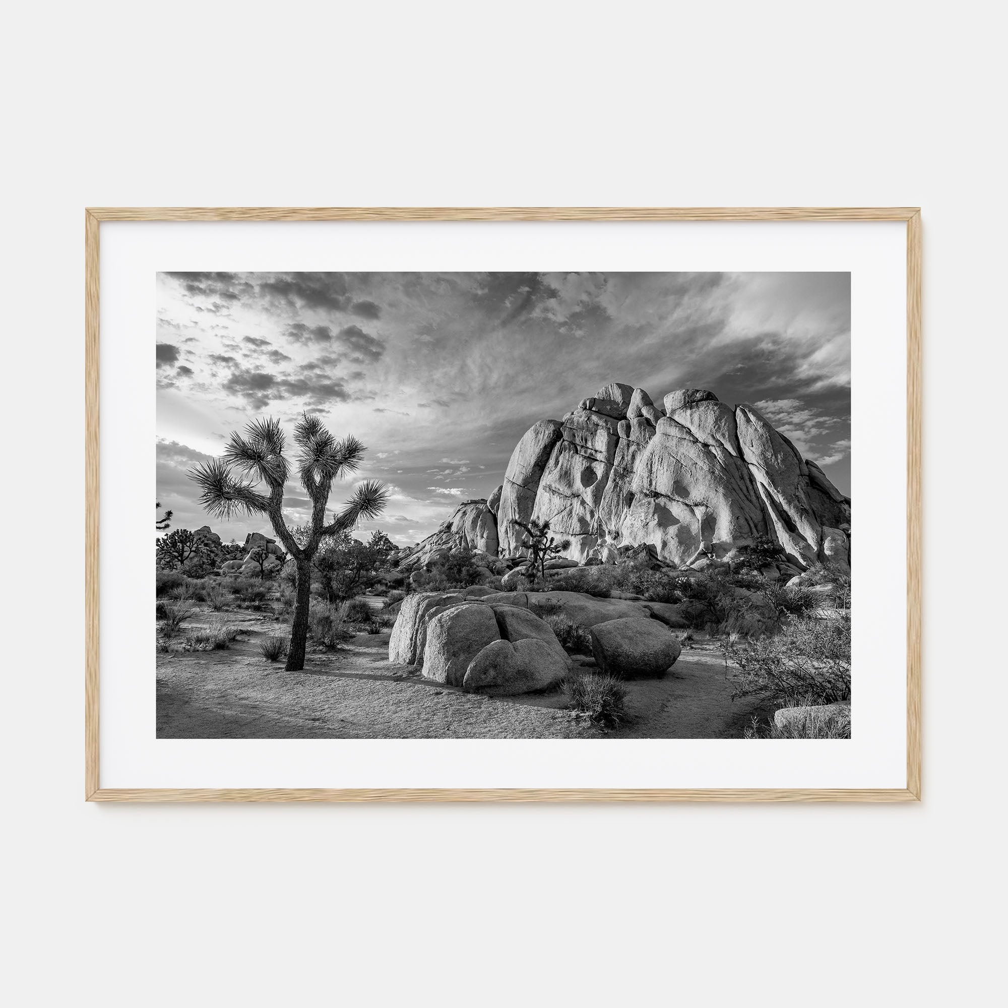Joshua Tree National Park Landscape B&W No 1 Poster