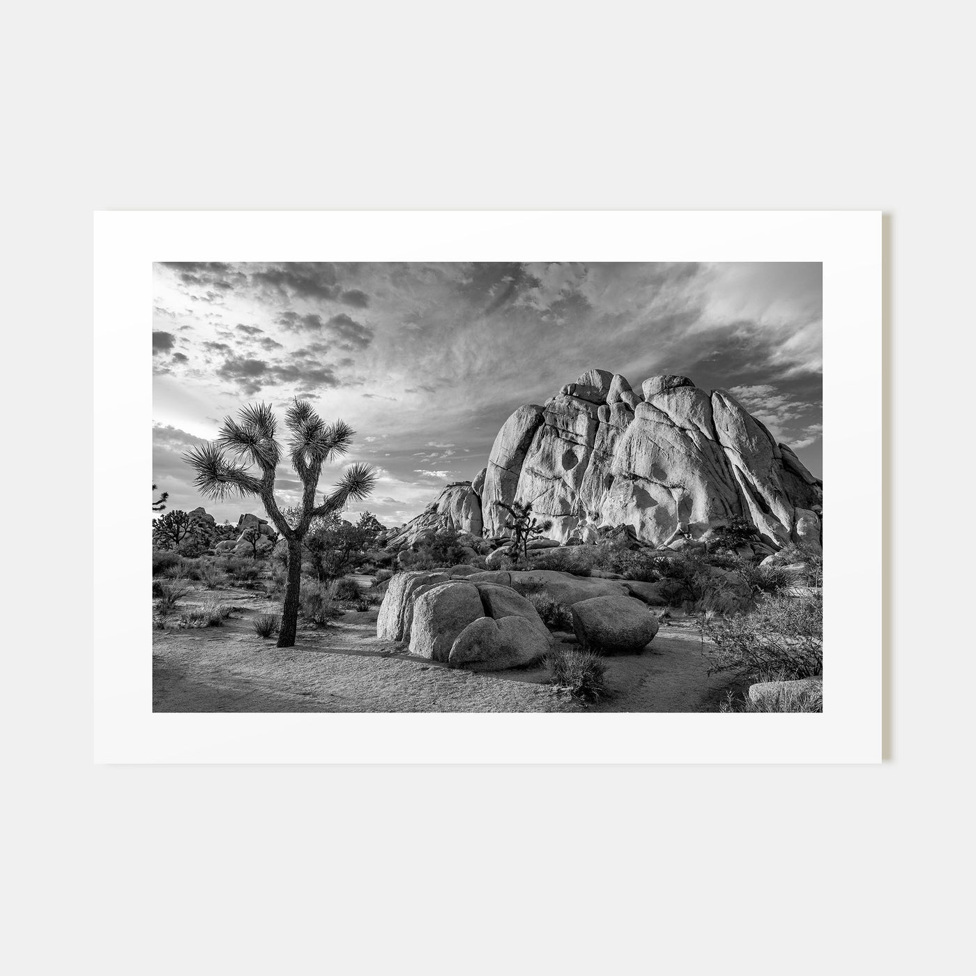 Joshua Tree National Park Landscape B&W No 1 Poster
