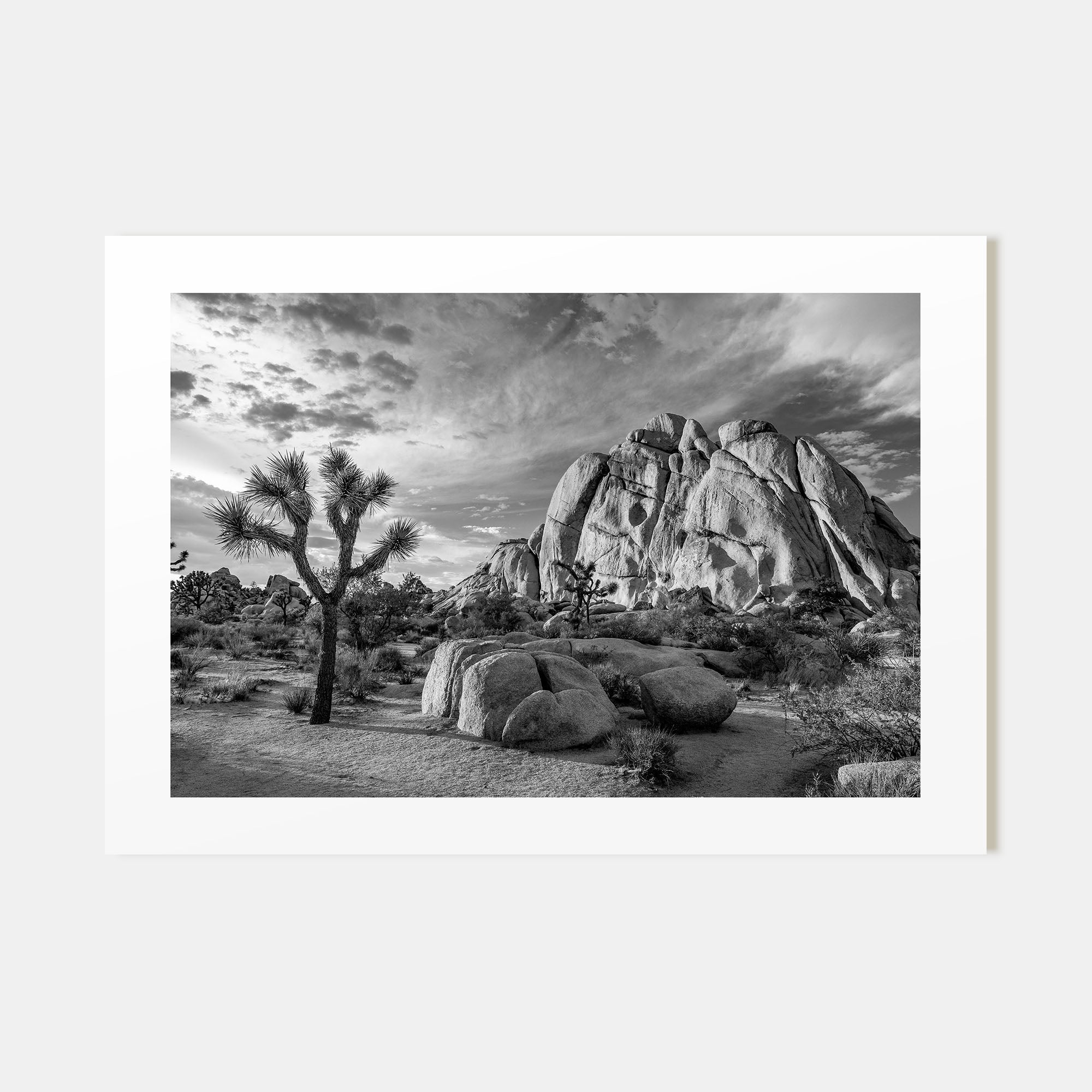 Joshua Tree National Park Landscape B&W No 1 Poster