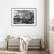 Joshua Tree National Park Landscape B&W No 1 Poster