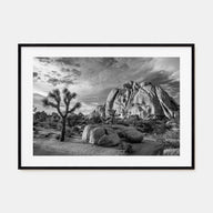 Joshua Tree National Park Landscape B&W No 1 Poster
