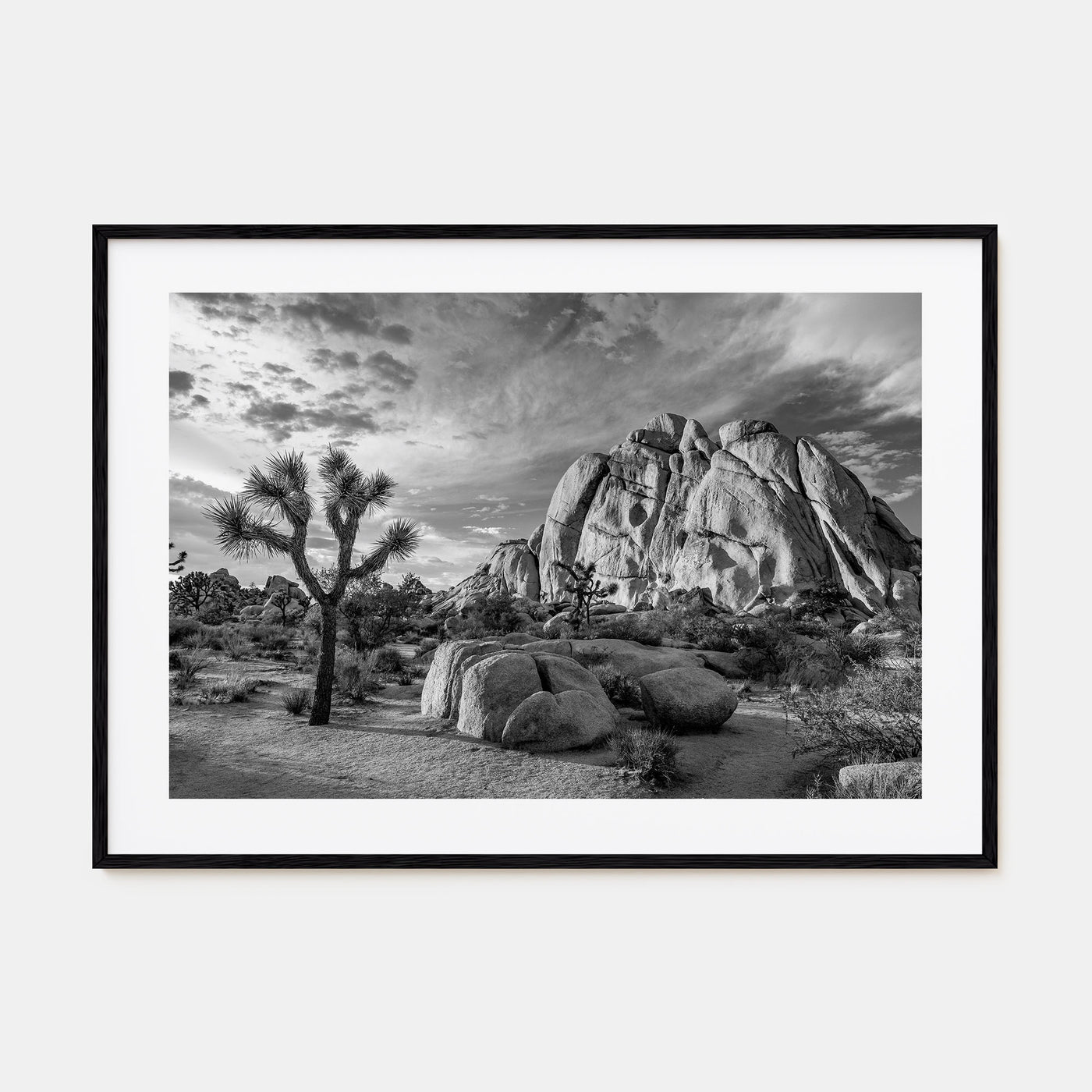 Joshua Tree National Park Landscape B&W No 1 Poster