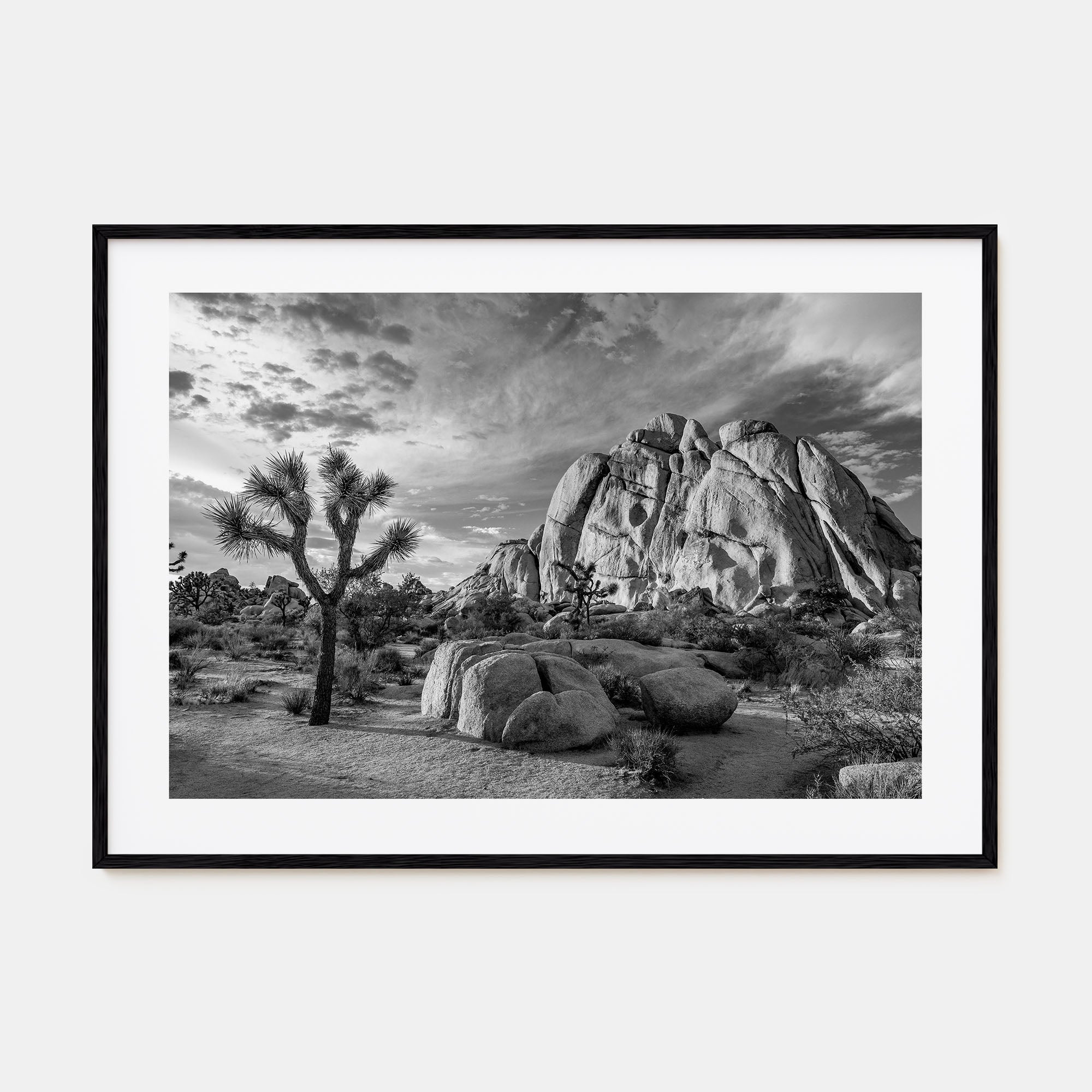 Joshua Tree National Park Landscape B&W No 1 Poster
