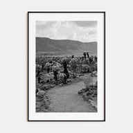 Joshua Tree National Park Photo B&W No 1 Poster