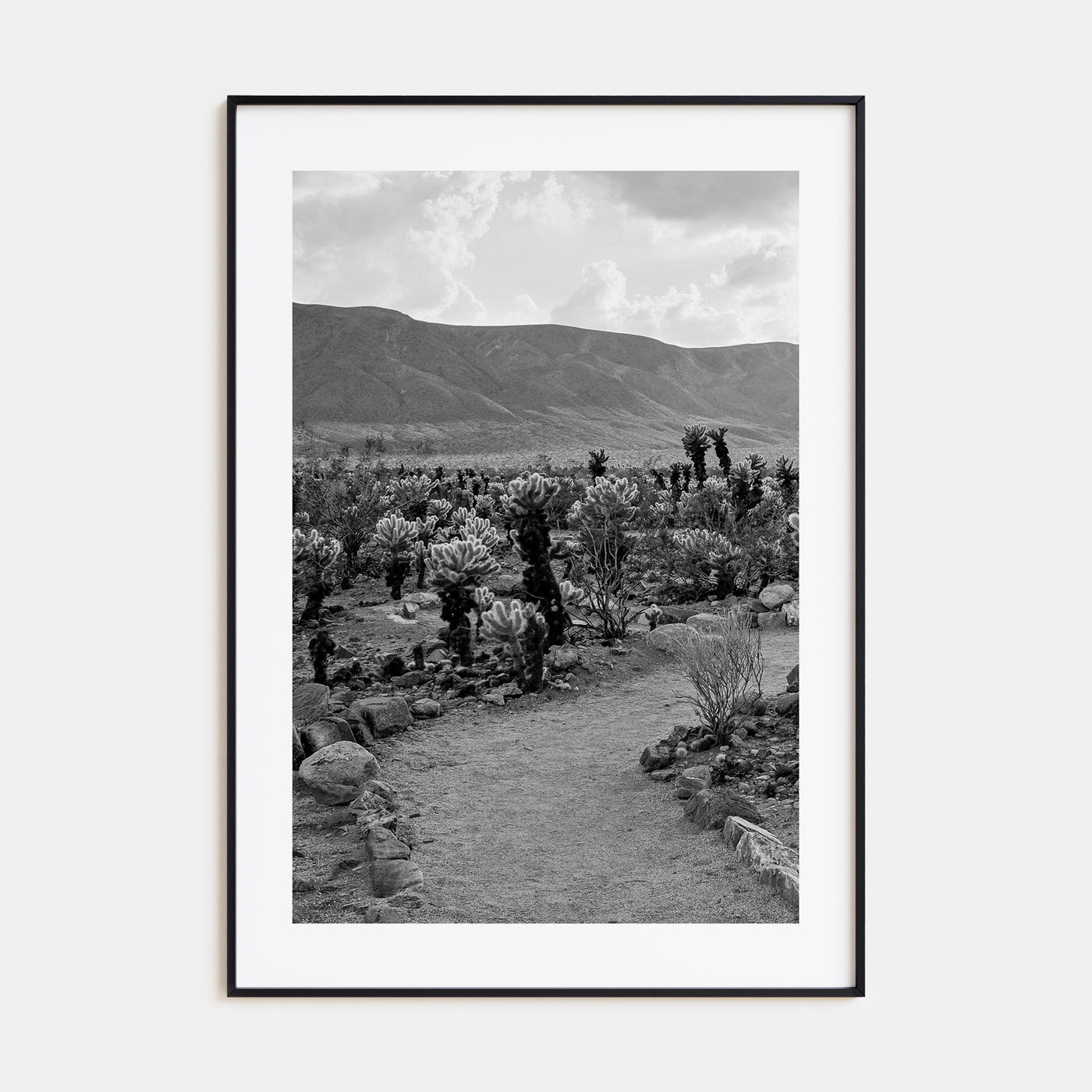 Joshua Tree National Park Photo B&W No 1 Poster