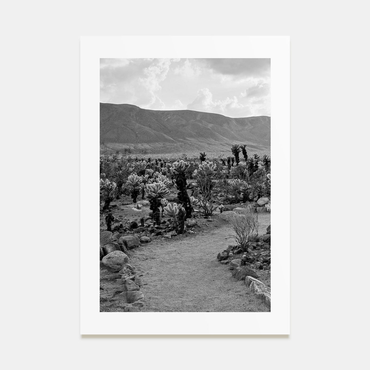 Joshua Tree National Park Photo B&W No 1 Poster