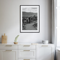 Joshua Tree National Park Photo B&W No 1 Poster