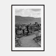 Joshua Tree National Park Photo B&W No 1 Poster