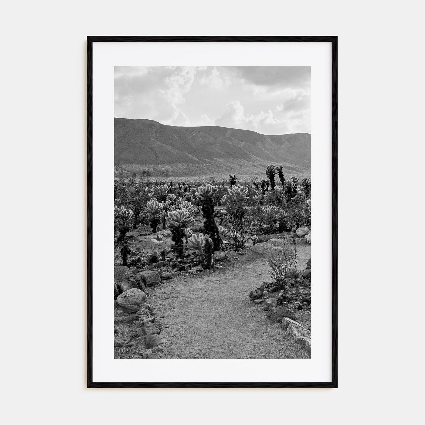 Joshua Tree National Park Photo B&W No 1 Poster