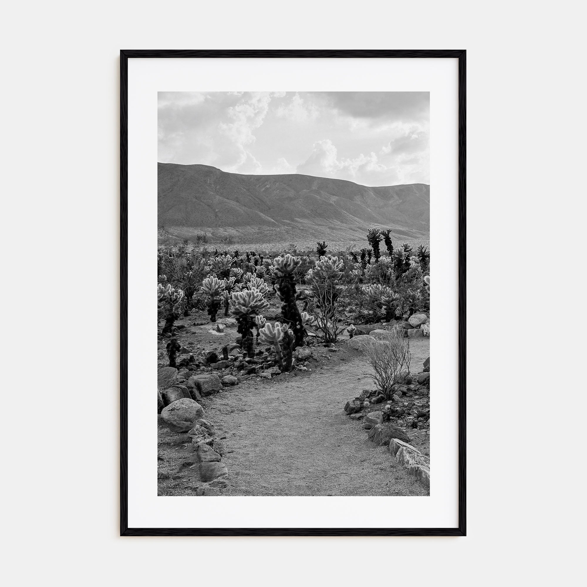 Joshua Tree National Park Photo B&W No 1 Poster