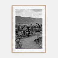 Joshua Tree National Park Photo B&W No 1 Poster