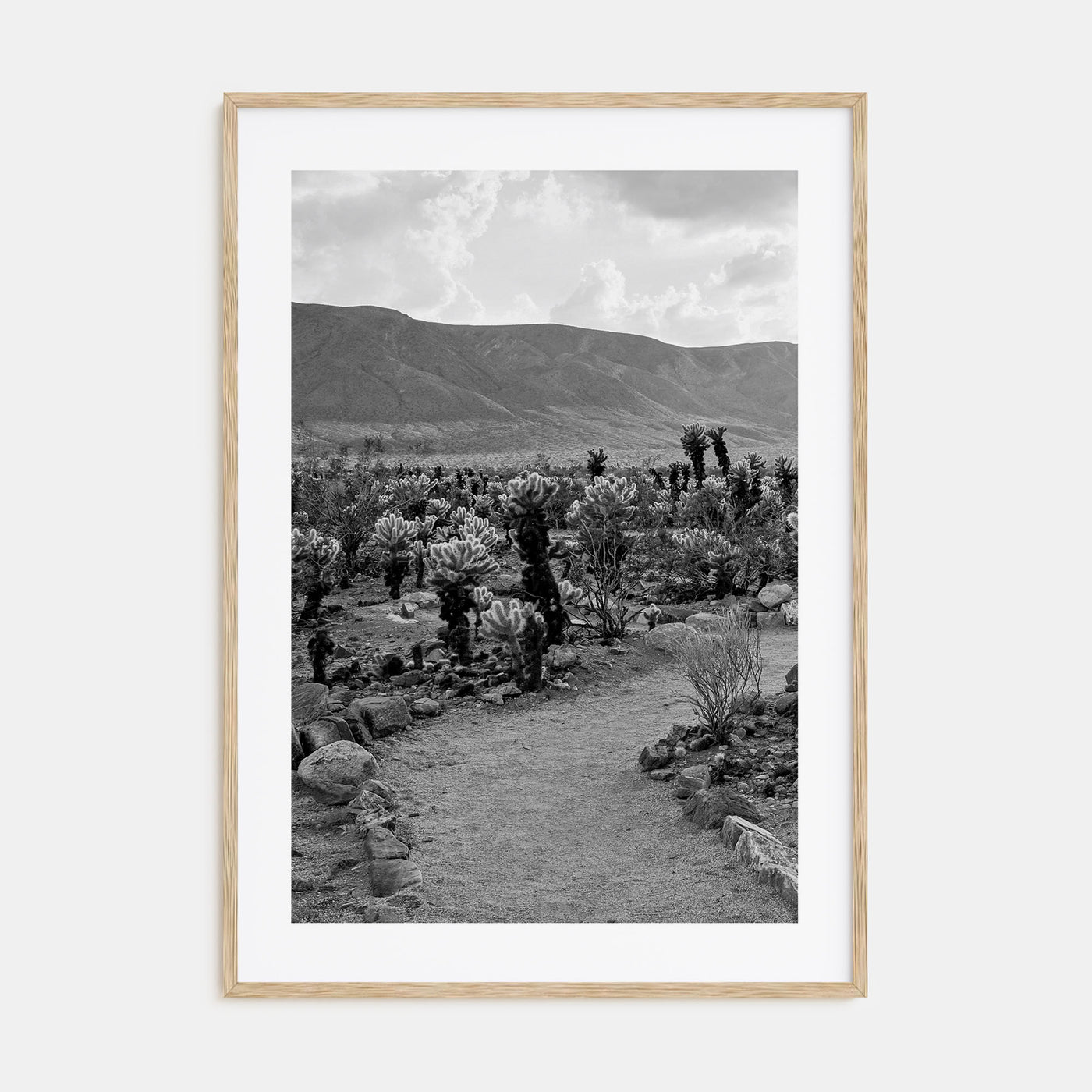 Joshua Tree National Park Photo B&W No 1 Poster